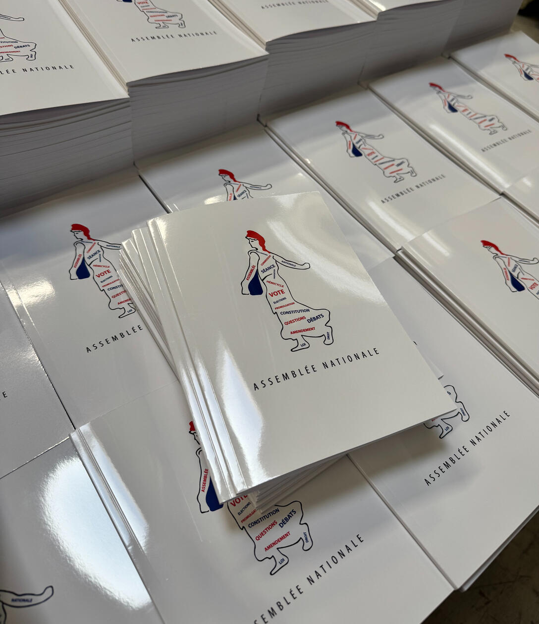 Dos carré collé / Assemblé Nationale